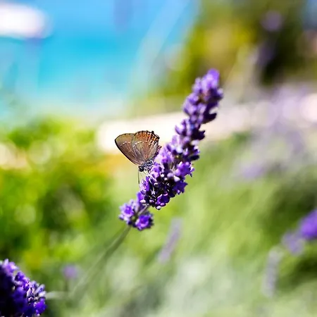 アパート ブルー ベイ レジデンス