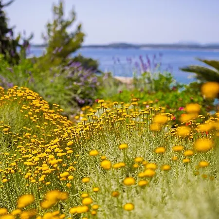 Blue Bay Apartment *